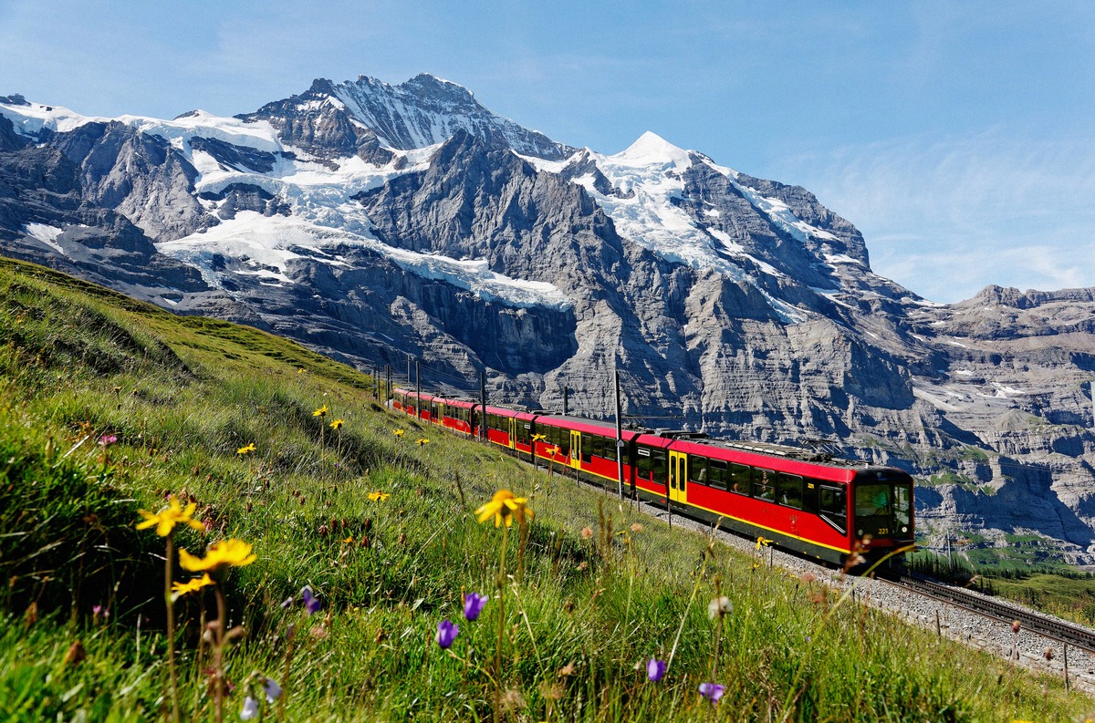 A Jungfrau Railway cogwheel train passes an alpine meadow near Kleine Scheidegg